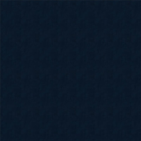 E-Furniture Albuquerque Couch | 2 Seater Couch In Blue Colour - E-FURNITURE