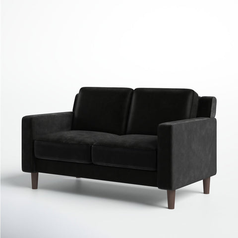 E-Furniture Albuquerque Couch | 2 Seater Couch In Blue Colour - E-FURNITURE